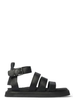 zoe kratzmann Quay Sandal-Black|Women Sandals